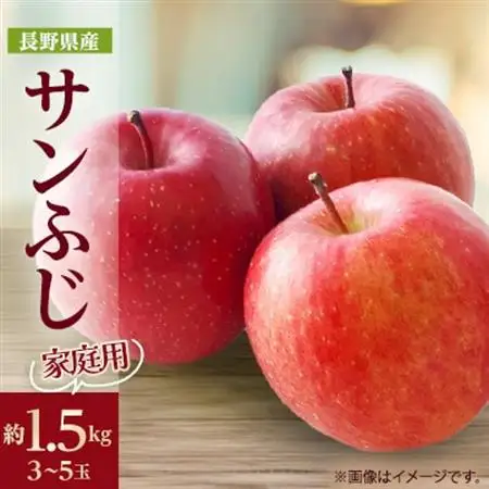 【家庭用】りんごの王様　長野県産 りんご　サンふじ　約1.5kg(3～5玉程度)【1574729】