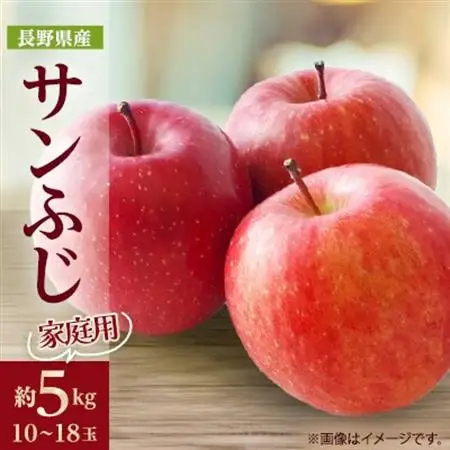 【家庭用】りんごの王様　長野県産 りんご　サンふじ　約5kg(10～18玉程度)【1574736】