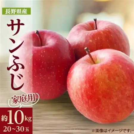 【家庭用】りんごの王様　長野県産 りんご　サンふじ　約10kg(20～30玉程度)【1574738】