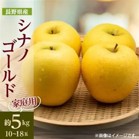 【家庭用】 長野県産 りんご シナノゴールド 約5kg(10～18玉程度)【1574749】