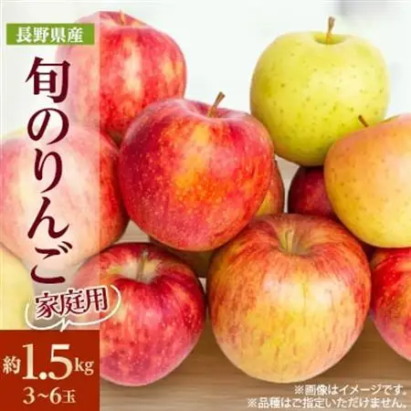 家庭用　長野県北信州のりんご　約1.5kg(3～6玉)おまかせ1品種【1575373】