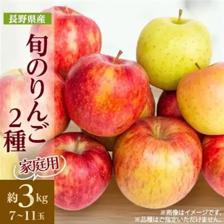 家庭用　長野県北信州のりんご　約3kg(7～11玉)おまかせ2品種【1575397】