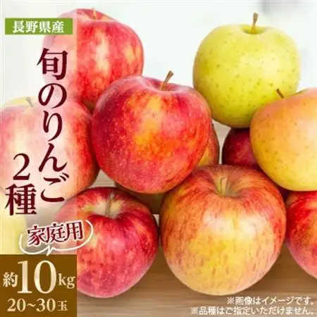 家庭用　長野県北信州のりんご　約10kg(20～30玉)おまかせ2品種【1575400】