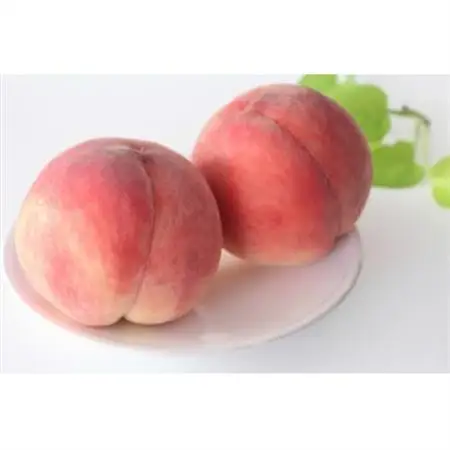 【2026年発送】長野県 北信州の桃 約1.5kg(4～7玉)品種おまかせ　贈答にもおすすめ【配送不可地域：離島】【1575716】