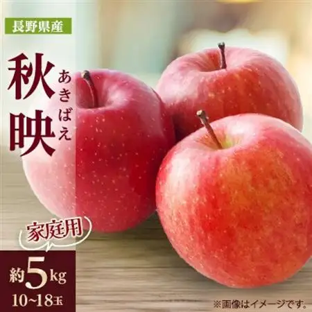 家庭用【2026年発送】長野県産 りんご　秋映(あきばえ)　約5kg(10～18玉)【1576298】