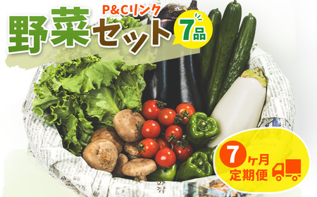 【7ヶ月定期便】野菜セット 7品 季節 旬 野菜 詰め合せ 定期 国産 季節 旬 おまかせ 産地直送 春野菜 夏野菜 秋野菜 きのこ 葉物 果物 果菜 根菜 冷蔵 野菜室 ダイエット 食 栄養食 カット野菜 岩手県産 北上産 季節限定 山菜 ブロッコリー たまねぎ さつまいも とうもろこし サラダ トマト しいたけ アスパラガス 送料無料 岩手県 北上市 H0143 P＆Cリンク
