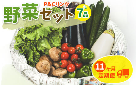 【11ヶ月定期便】野菜セット7品 旬野菜詰め合せ 季節 旬 春野菜 夏野菜 秋野菜 きのこ 葉物 果物 果菜 根菜 冷蔵 野菜室 ダイエット 食 栄養食 カット野菜 岩手県産 北上産 季節限定 稀少 数量限定 山菜 ブロッコリー たまねぎ さつまいも とうもろこし サラダ トマト しいたけ アスパラガス 松茸 じゃがいも かぼちゃ 白菜 水菜 ミニトマト 枝豆 K0063