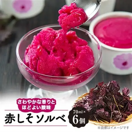 赤しそソルベ　70ml×6個入り_菓子・スイーツ アイス・ジェラート  _【配送不可地域：離島】【1575911】
