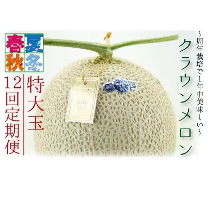 【12ヶ月定期便】クラウンメロン（白等級）特大玉　1玉入 