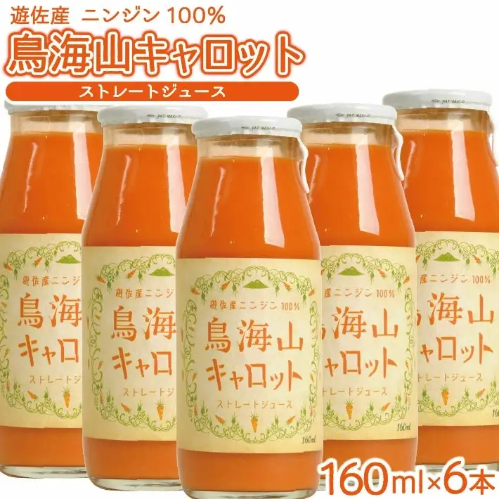 農家直送 鳥海山キャロット ストレート 160ml×6本 ニンジンジュース 野菜ジュース 化学肥料不使用 農薬不使用 瓶 常温保存 にんじん [1508]