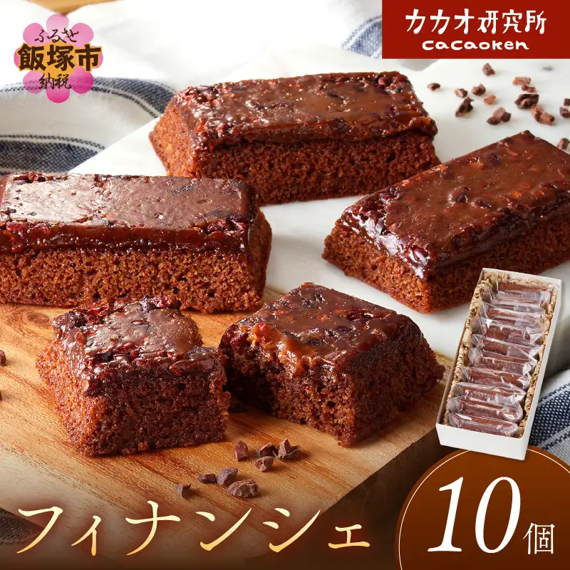 カカオ研究所 フィナンシェ10個セット【B-180】