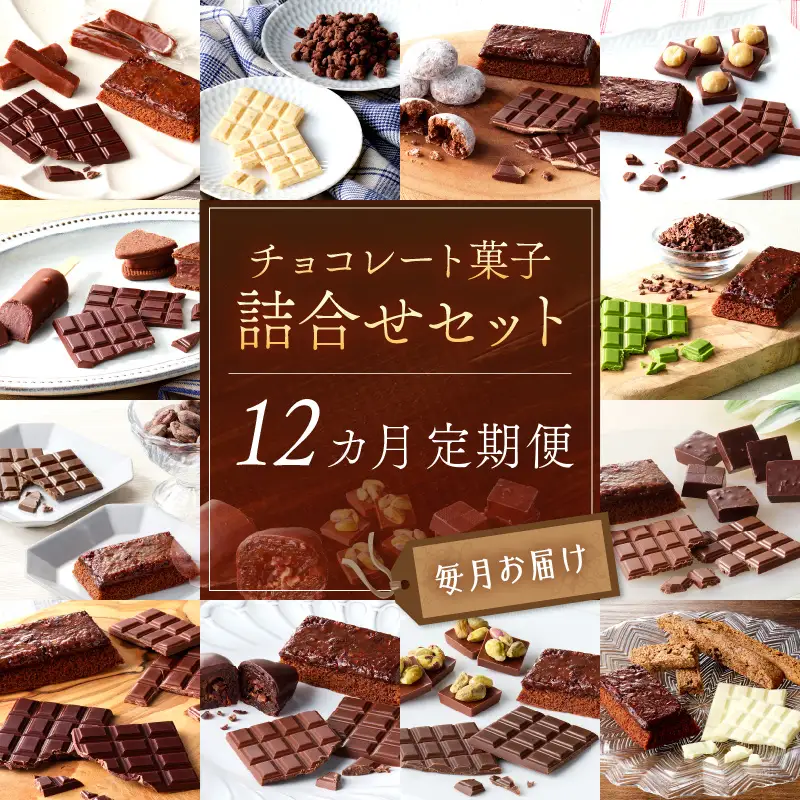 カカオ研究所 チョコレート菓子詰合せセット【12カ月定期便】【J17-001】