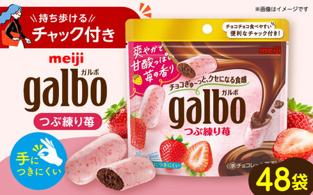 ガルボつぶ練り苺パウチ 48袋[AOAA029] チョコレート お菓子