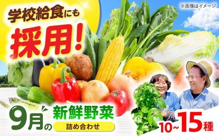 高槻野菜おまかせ詰め合わせセット 9月（10種〜15種）[AOCS015]野菜セット