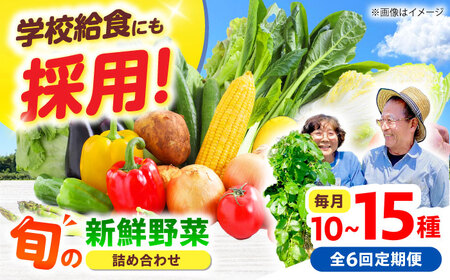 【全6回】高槻野菜 おまかせ詰め合わせ定期便 （10種〜15種）[AOCS020]野菜