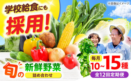 【全12回】高槻野菜 おまかせ詰め合わせ定期便 （10種〜15種）[AOCS021]野菜