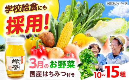 高槻野菜詰め合わせ 3月（10〜15種）＆はちみつ セット[AOCS022]野菜セット