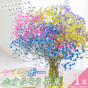 【佳花園】レインボーかすみそう 花束[156K03]