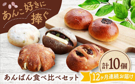 【12回定期便】 あんこ好きの食べ比べ 10個セット 【パンの店 カッタン】 パン あんぱん 大人気店[MEJ012]