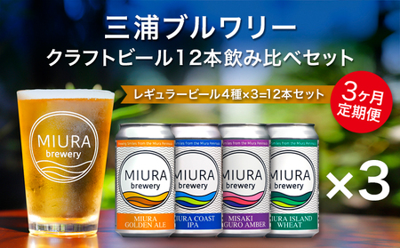 【 全3回定期便 】【 三浦ブルワリー 】 クラフトビール 12本飲み比べセット M110-T03 定期便 アルコール ビール