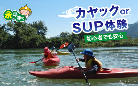 カヤック・タンデムカヤック（2人乗り）・SUP　体験 [B-060001]