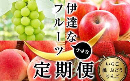 ＜2026年夏から開始の定期便＞伊達な小さなフル－ツ定期便 (桃約1kg・ぶどう1房・りんご約1kg・いちご約500g) 果物 フルーツ 桃 モモ 苺 イチゴ 葡萄 ブドウ 林檎 リンゴ 福島県 伊達市 F21C-225