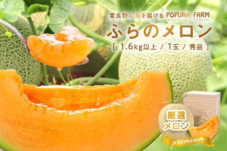 【2026年発送】【ポプラファーム】【桐箱】富良野メロン中玉1玉（1.6㎏以上秀品）【BC-006】
