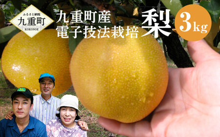 九重町産 電子技法栽培 梨 3kg 果物 大分県産 (二十世紀・豊水・あきづき・新高・新興 いずれか一種)  【2026年9月上旬～12月上旬発送予定】