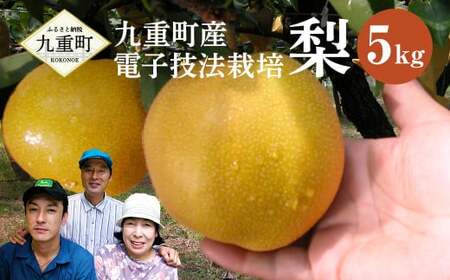九重町産 電子技法栽培 梨 5kg 果物 大分県産 (二十世紀・豊水・あきづき・新高・新興のうちいずれか一種) 【2026年9月上旬～12月上旬発送予定】