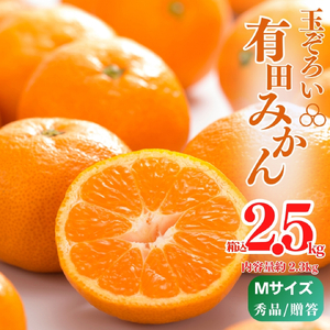 MK1002_【2026年先行予約】みかん Ｍサイズ 秀品 箱込 2.5kg ( 内容量 2.3kg ) 有田みかん 濃厚 甘み 濃縮 温暖 好条件 和歌山県産 産地直送 贈答用 贈り物 ギフト のし対応 フルーツ デザート 和歌山県 湯浅 お取り寄せ お取り寄せフルーツ 送料無料 みかんの会