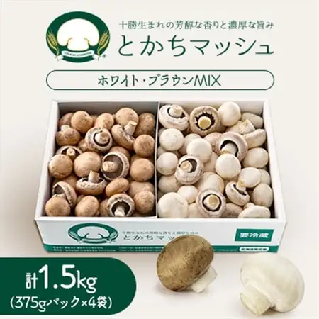 とかちマッシュ ホワイト・ブラウンMIX1.5kg_野菜  きのこ _【配送不可地域：離島】【1501669】