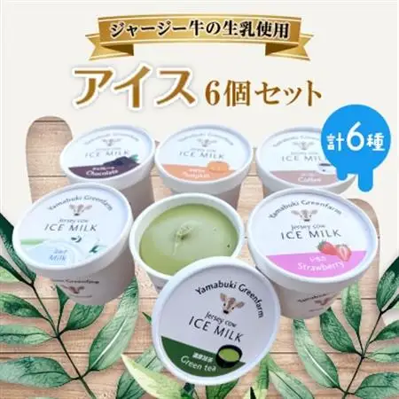 ジャージー牛の生乳を使用したアイス6個セット(ミルク・チョコ・コーヒー・いちご・抹茶・かぼちゃ)【配送不可地域：離島】【1576638】