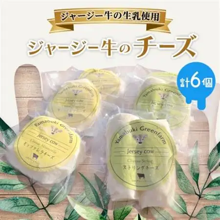 ジャージー牛のチーズ　2種セット【配送不可地域：離島】【1576776】