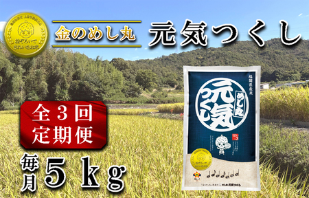 CE-083_【定期便３回】令和７年米　金のめし丸元気つくし 5Kg（1袋）×３回