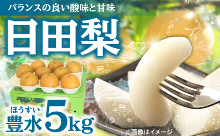 【先行予約・26年8月以降発送】梨 豊水 5kg 日田 梨 [ARBB002]