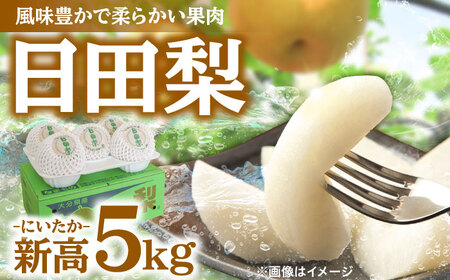 【先行予約・26年9月以降発送】日田梨 新高 5kg 梨[ARBB004]
