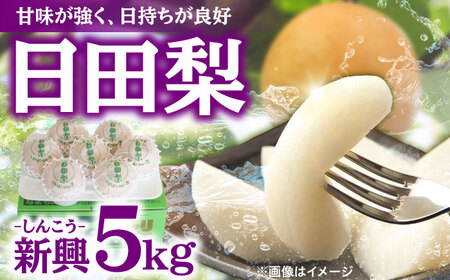 【先行予約・26年10月以降発送】梨 新興 5kg 梨 [ARBB005]