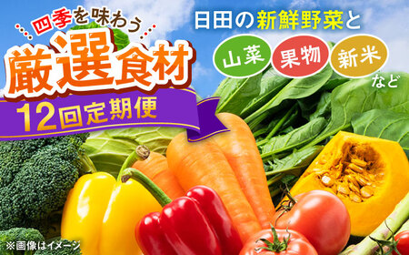 【全12回定期便】農家セレクト！特別栽培 日田の厳選食材 詰め合わせ 日田市 野菜 果物 米 産地直送 新鮮 セット[ARBR002]