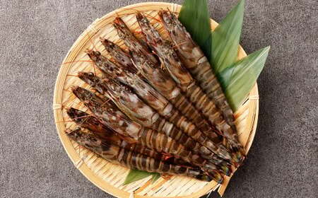 熊本県産冷凍活車エビ（養殖） 約500g 車エビ 海老 えび シーフード おつまみ 冷凍 熊本県産