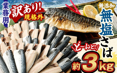 【訳あり規格外】 業務用 無添加 無塩さば どーんと! 3kg 鯖 さば サバ 魚 お魚 さかな 魚介 魚介類