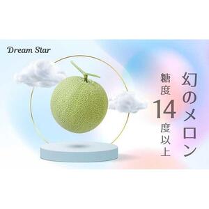 【2026年5月以降発送】さぬきメロン Dream Star 1.1kg以上｜メロン 糖度 14度以上 甘い フルーツ 果物 くだもの 特産 ふるさと 坂出市 香川 さぬき 食品 人気 おすすめ 送料無料