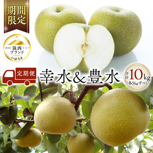 梨 2種 ( 幸水 ＆ 豊水 各5kg 合計10kg ) 定期便 セット 2026年産 先行予約 なし