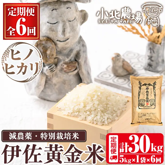 isa602 《数量限定・6回定期便》令和7年産 小北農場のお米 伊佐黄金米〈ヒノヒカリ〉(計30kg・5kg×1袋×6回) 鹿児島 伊佐 お米 特別栽培米 伊佐米 白米 ヒノヒカリ ひのひかり おにぎり ごはん 【小北農場】