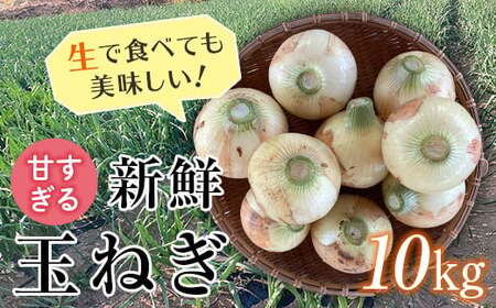 ＜2026年発送 先行予約＞甘すぎる新鮮玉ねぎ 10kg（2026年6月20日～7月15日頃出荷） 減農薬減 化学肥料 生食 たまねぎ 玉ねぎ タマネギ 野菜 食品 F21E-206
