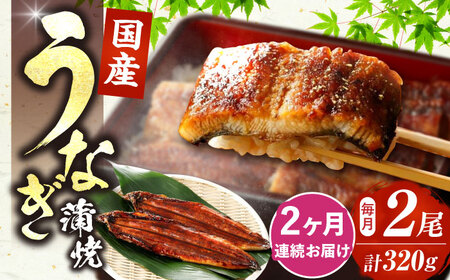 【全2回定期便】福岡県産 うなぎ 蒲焼 大 2尾 [VAD034] うなぎ