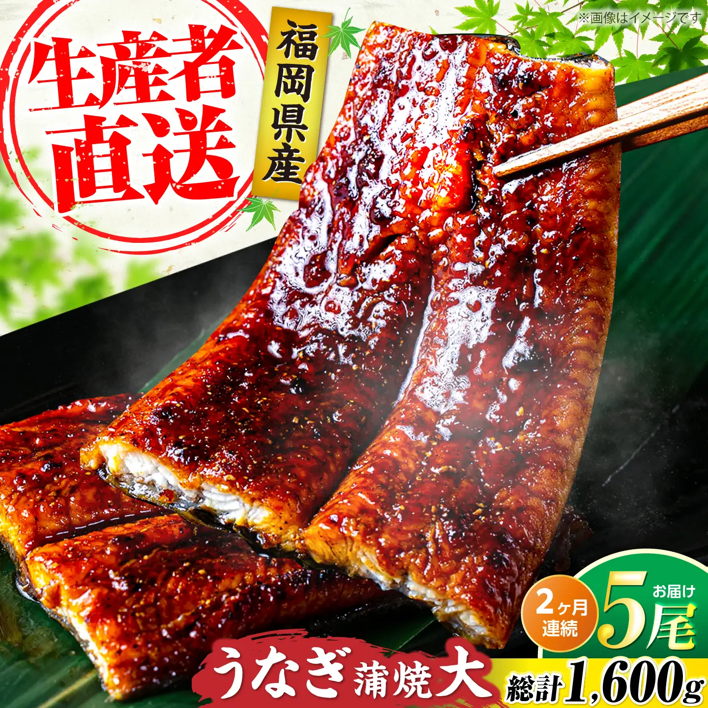 【全2回定期便】福岡県産 うなぎ 蒲焼 大5尾 合計 800 g（1尾あたり 160g以上）[VAD035] 国産 うなぎ