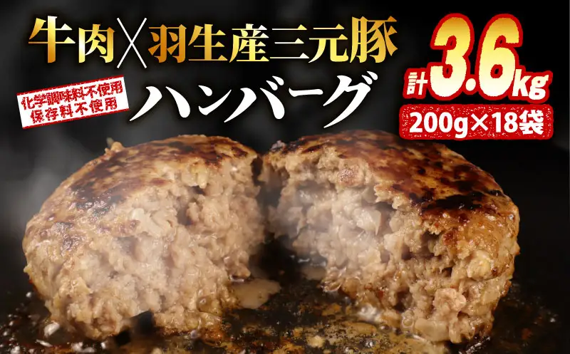 ハンバーグ 個包装 3.6kg ギフト お歳暮 大判ハンバーグ