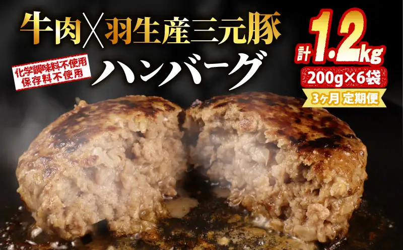 定期便 3回 ハンバーグ 1.2kg 個包装 ギフト お歳暮 大判ハンバーグ