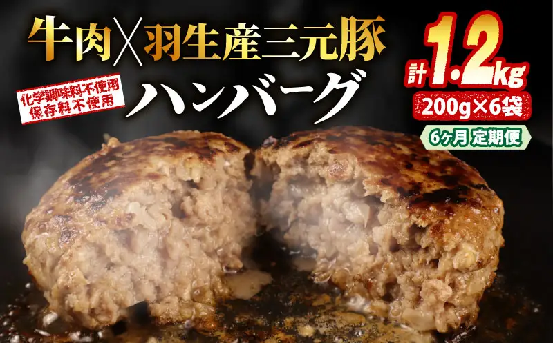 定期便 6回 ハンバーグ 1.2kg 個包装 ギフト お歳暮 大判ハンバーグ