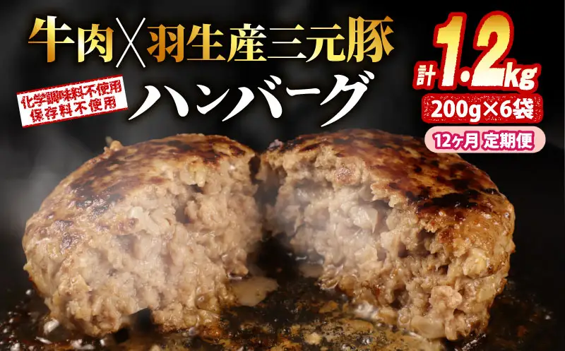 定期便 12回 ハンバーグ 1.2kg 個包装 ギフト お歳暮 大判ハンバーグ